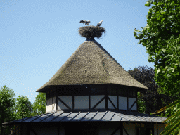 Nest with Storks at the Dierenwijck area of the Plaswijckpark recreation park