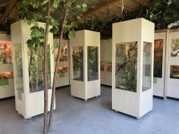 Interior of the classroom at the Speelkas building at the Dierenwijck area of the Plaswijckpark recreation park