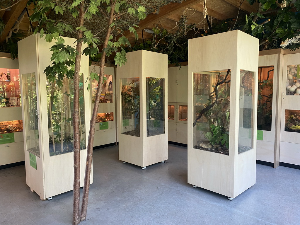 Interior of the classroom at the Speelkas building at the Dierenwijck area of the Plaswijckpark recreation park