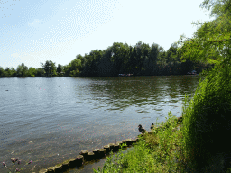 The Bergse Achterplas lake, viewed from the Speelwijck area of the Plaswijckpark recreation park