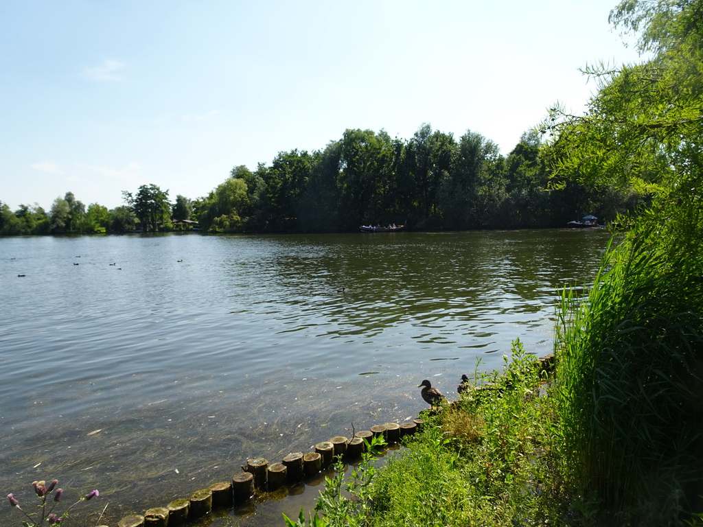 The Bergse Achterplas lake, viewed from the Speelwijck area of the Plaswijckpark recreation park