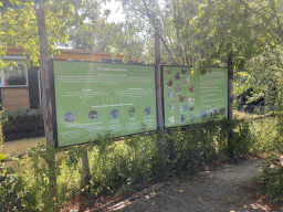 Information on invasive exotics at the Nature Path at the Speelwijck area of the Plaswijckpark recreation park