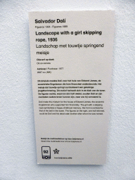 rotterdam_2_057 - 329 kb - 768x1024 - Explanation on the painting `Landscape with a girl skipping rope` by Salvador Dalí, at the First Floor of the Museum Boijmans van Beuningen Explanation on the painting `Landscape with a girl skipping rope` by Salvador Dalí, at the First Floor of the Museum Boijmans van Beuningen