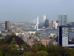 The Erasmusbrug bridge over the Nieuwe Maas river, the Westerlaantoren tower, the Maastoren tower, the Hoge Erasmus tower and the Rotterdam tower, viewed from the restaurant in the Euromast tower