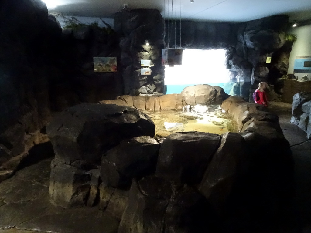 Interior of the Oceanium at the Diergaarde Blijdorp zoo