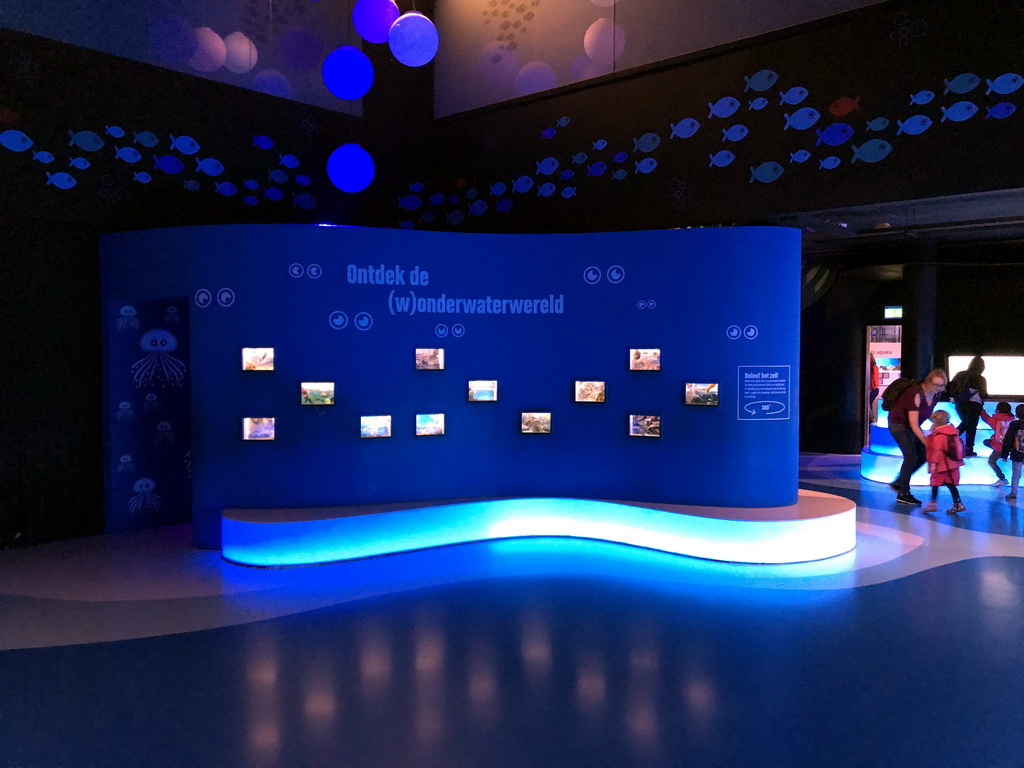 Exhibition about the underwater world at the Oceanium at the Diergaarde Blijdorp zoo