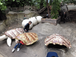 Scale models of Turtle shells and eggs at the Oceanium at the Diergaarde Blijdorp zoo