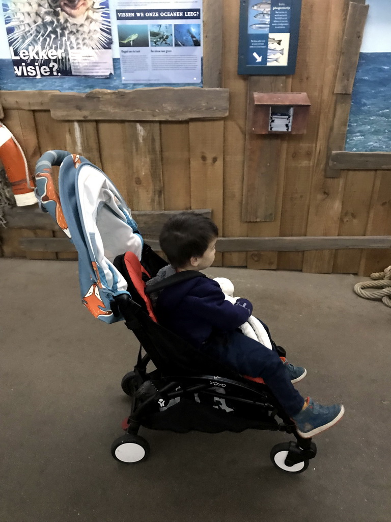Max at the exhibition on ocean wildlife conservation at the Oceanium at the Diergaarde Blijdorp zoo