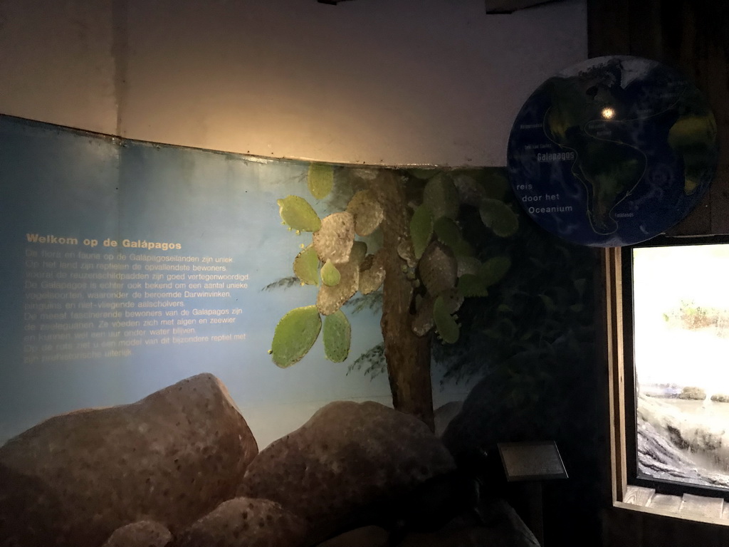 Information on the Galapagos section at the Oceanium at the Diergaarde Blijdorp zoo