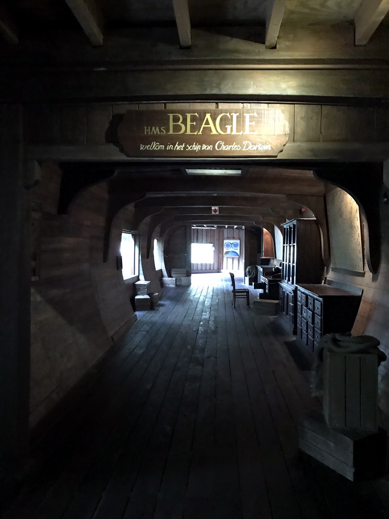 Interior of the HMS Beagle, at the Galapagos section at the Oceanium at the Diergaarde Blijdorp zoo