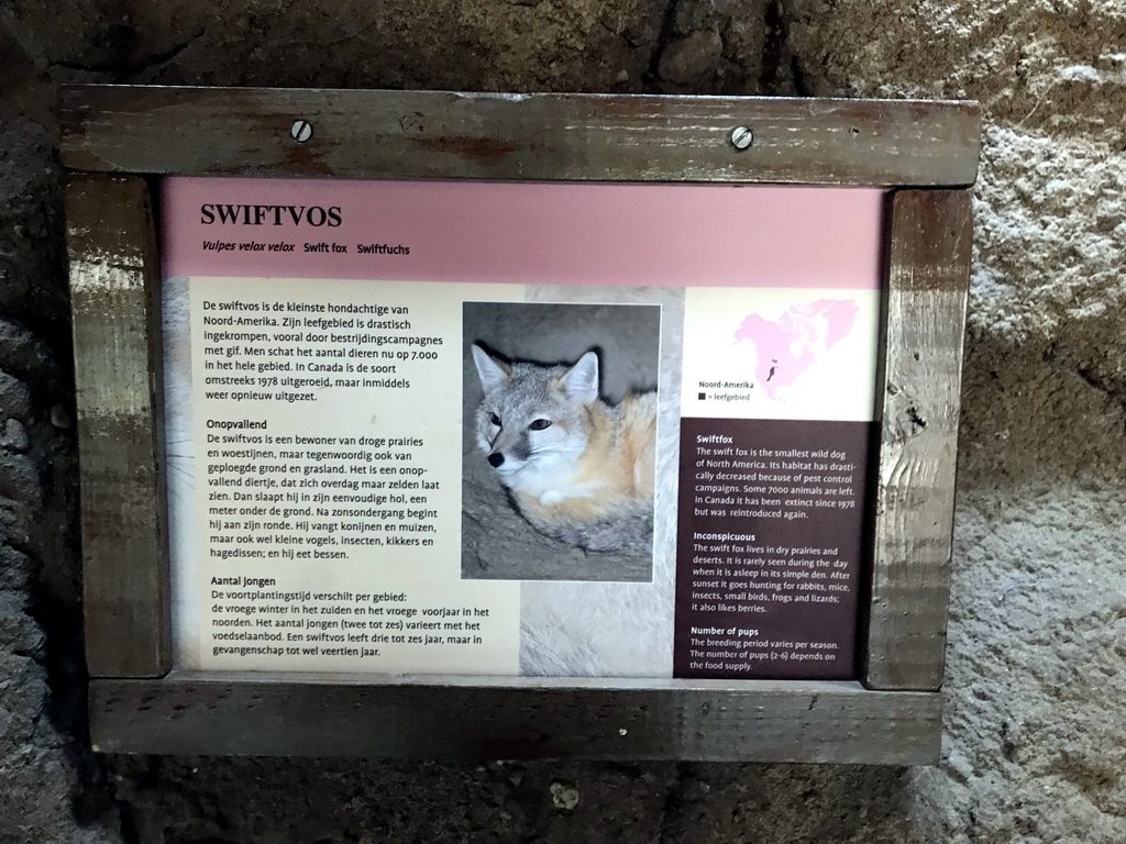 Explanation on the Swift Fox at the Sea of Cortes section at the Oceanium at the Diergaarde Blijdorp zoo