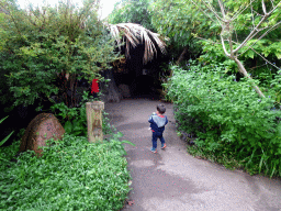 Max in the Amazonica building at the South America area at the Diergaarde Blijdorp zoo