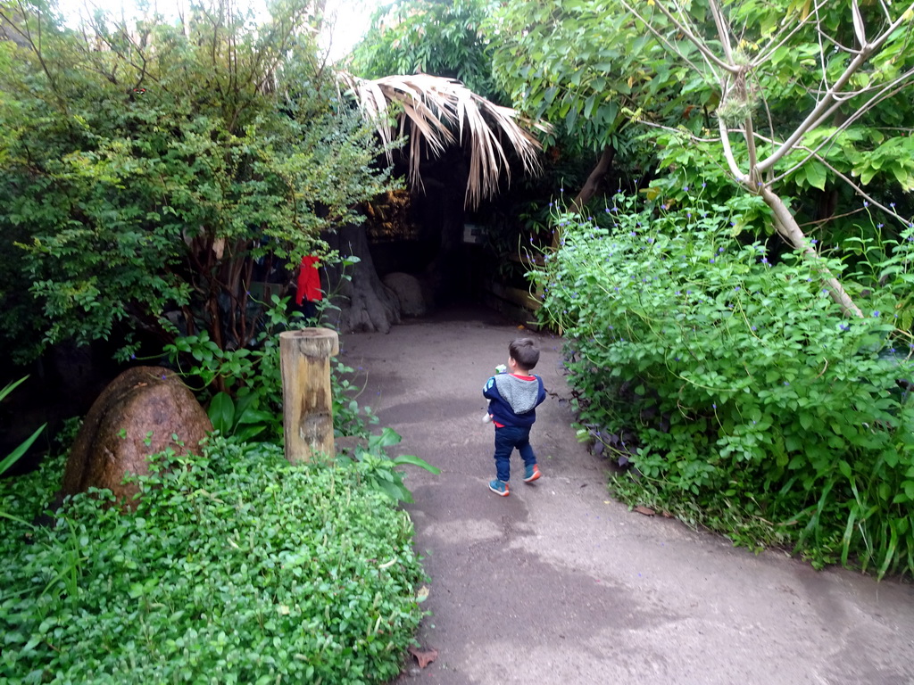 Max in the Amazonica building at the South America area at the Diergaarde Blijdorp zoo