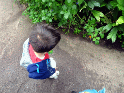 Max with a butterfly in the Amazonica building at the South America area at the Diergaarde Blijdorp zoo