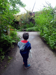 Max in the Amazonica building at the South America area at the Diergaarde Blijdorp zoo