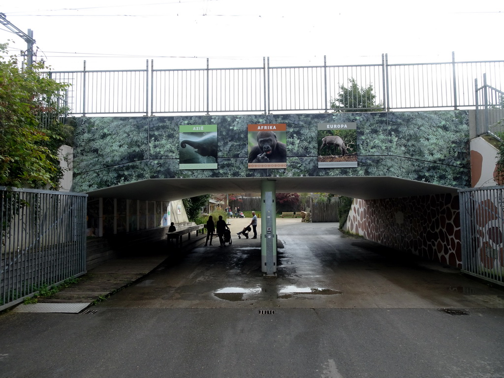 Tunnel to the Eastern part of the Diergaarde Blijdorp zoo