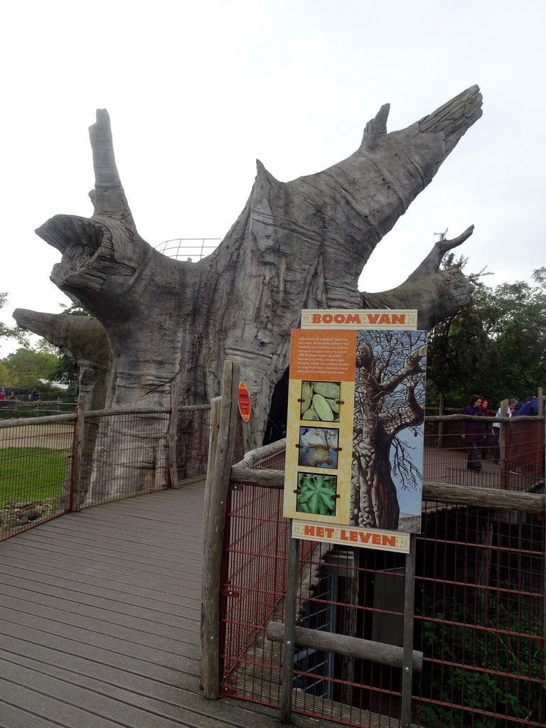 The Tree of Life next to the Giraffe enclosure at the Africa area at the Diergaarde Blijdorp zoo