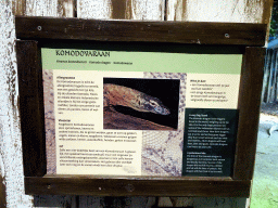 Explanation on the Komodo Dragon at the Rumah Asia house at the Asia area at the Diergaarde Blijdorp zoo