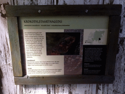 Explanation on the Crocodile Lizard at the Rumah Asia house at the Asia area at the Diergaarde Blijdorp zoo