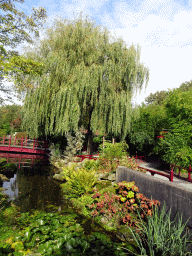 The Chinese Garden at the Asia area at the Diergaarde Blijdorp zoo