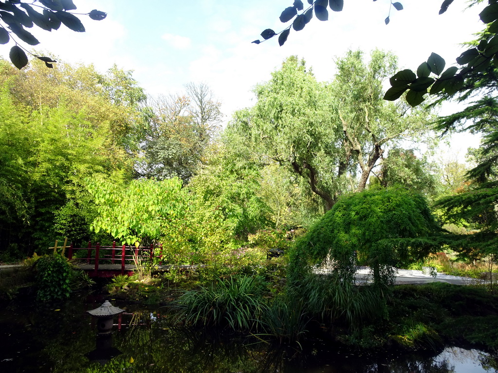 The Chinese Garden at the Asia area at the Diergaarde Blijdorp zoo