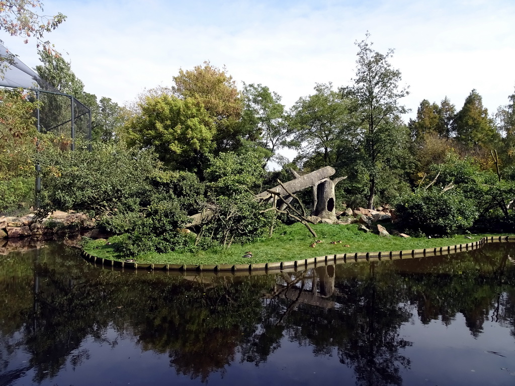 The Asian Swamp at the Asia area at the Diergaarde Blijdorp zoo