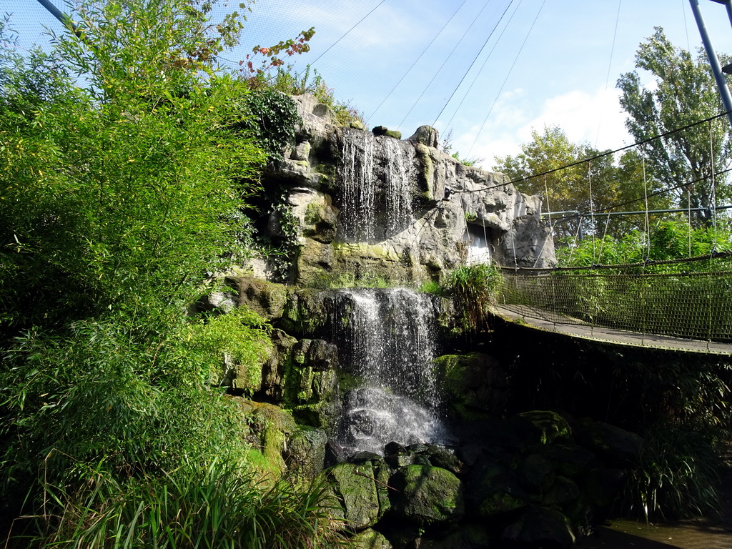 Waterfall and suspension bridge at the Burung Asia section at the Asia area at the Diergaarde Blijdorp zoo