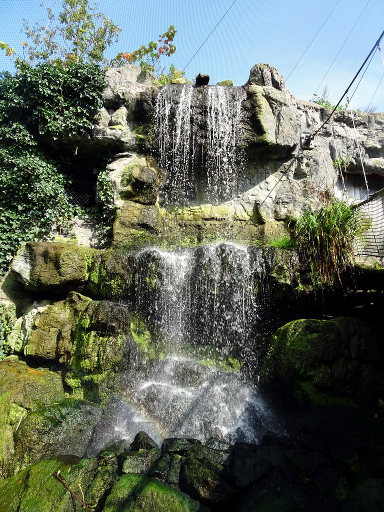 Waterfall at the Burung Asia section at the Asia area at the Diergaarde Blijdorp zoo