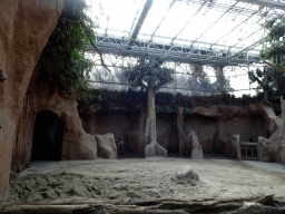 Enclosure of the Indian Elephants at the Taman Indah building at the Asia area at the Diergaarde Blijdorp zoo