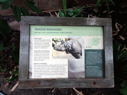 Explanation on the Great Indian Rhinoceros at the Taman Indah building at the Asia area at the Diergaarde Blijdorp zoo