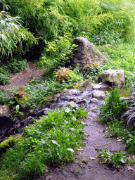 Creek at the Tiger enclosure at the Asia area at the Diergaarde Blijdorp zoo