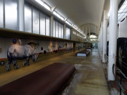 Interior of the Dikhuiden section of the Rivièrahal building at the Africa area at the Diergaarde Blijdorp zoo