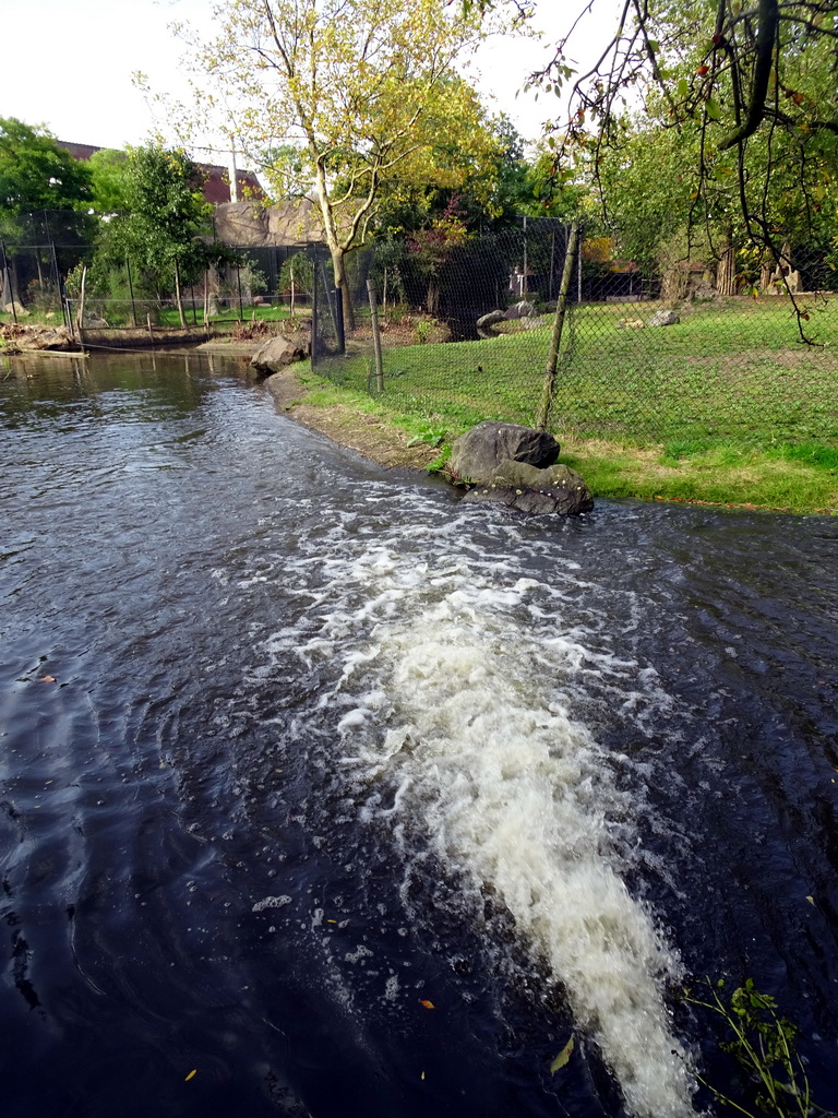Water flowing in a creek at the Africa area at the Diergaarde Blijdorp zoo