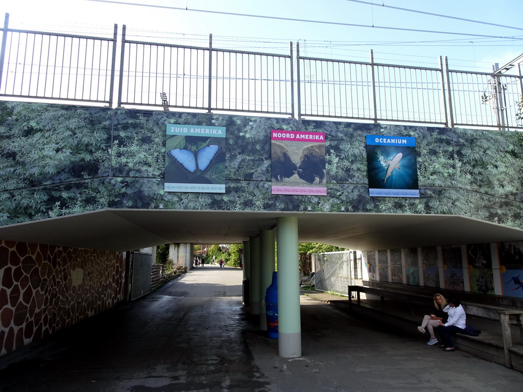 Tunnel to the Western part of the Diergaarde Blijdorp zoo