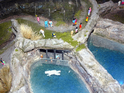Scale model of the Polar Bear enclosure at the Diergaarde Blijdorp zoo at Miniworld Rotterdam
