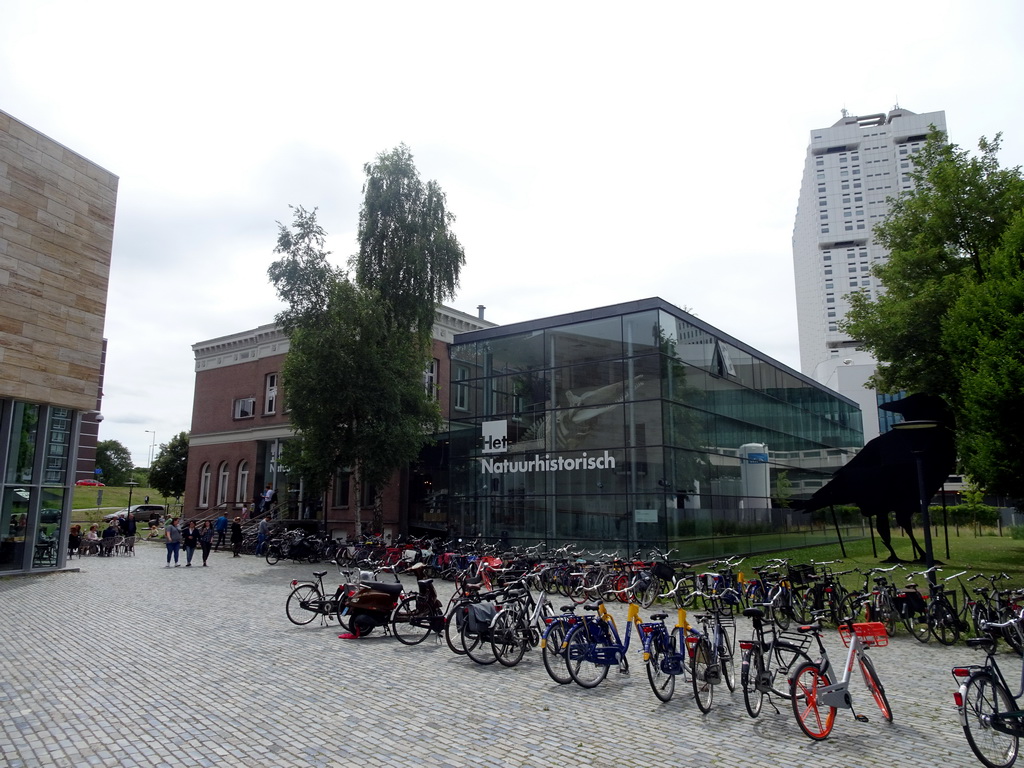 Front of the Natuurhistorisch Museum Rotterdam at the Museumpark