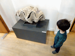 Max with a large seashell in the Hall at the Ground Floor of the Natuurhistorisch Museum Rotterdam