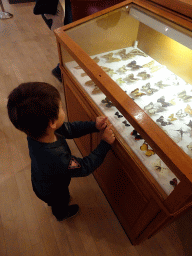 Max at a cabinet with butterflies in the Biodiversity Room at the Ground Floor of the Natuurhistorisch Museum Rotterdam
