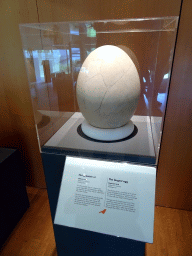 Egg of an Elephant Bird at the Uitslovers Room at the Ground Floor of the Natuurhistorisch Museum Rotterdam, with explanation