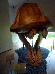 Skull of the Sperm Whale `Leviathan` at the Uitslovers Room at the Ground Floor of the Natuurhistorisch Museum Rotterdam, with explanation