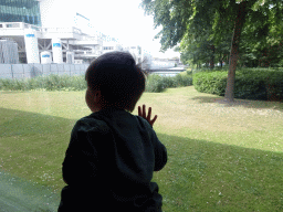 Max looking at the Museum park from the Pure Veerkracht Room at the Ground Floor of the Natuurhistorisch Museum Rotterdam
