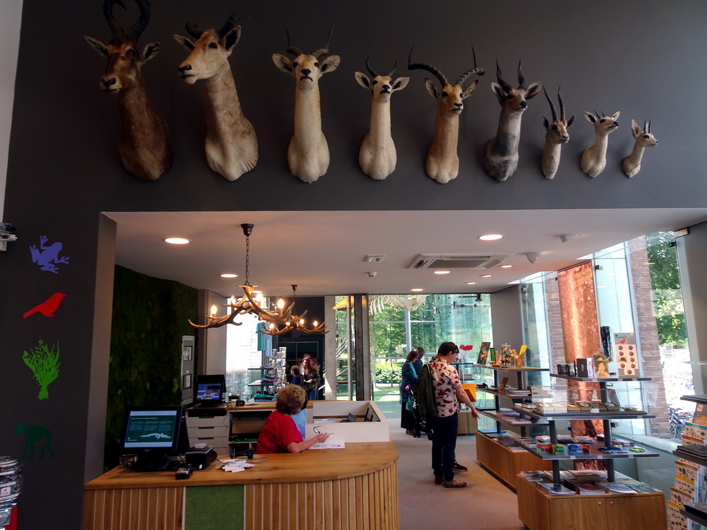 Interior of the Museum Shop at the Ground Floor of the Natuurhistorisch Museum Rotterdam