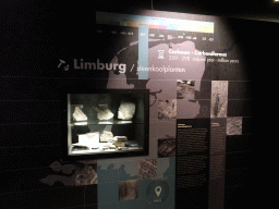 Fossils from Limburg at the `Opgeraapt, Opgevist, Uitgehakt` Room at the Upper Floor of the Natuurhistorisch Museum Rotterdam, with explanation
