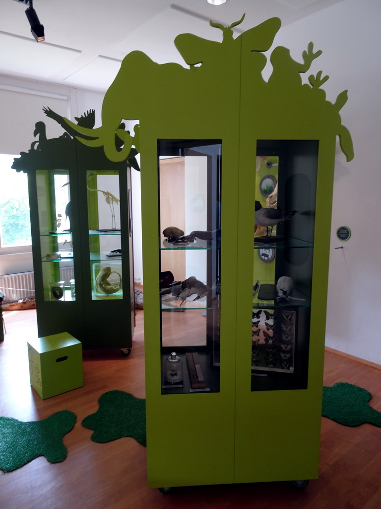 Interior of the Museumlokaal Room at the Upper Floor of the Natuurhistorisch Museum Rotterdam