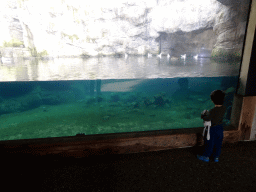 Max looking at fish at the Oceanium at the Diergaarde Blijdorp zoo