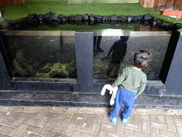 Max looking at fish at the Oceanium at the Diergaarde Blijdorp zoo