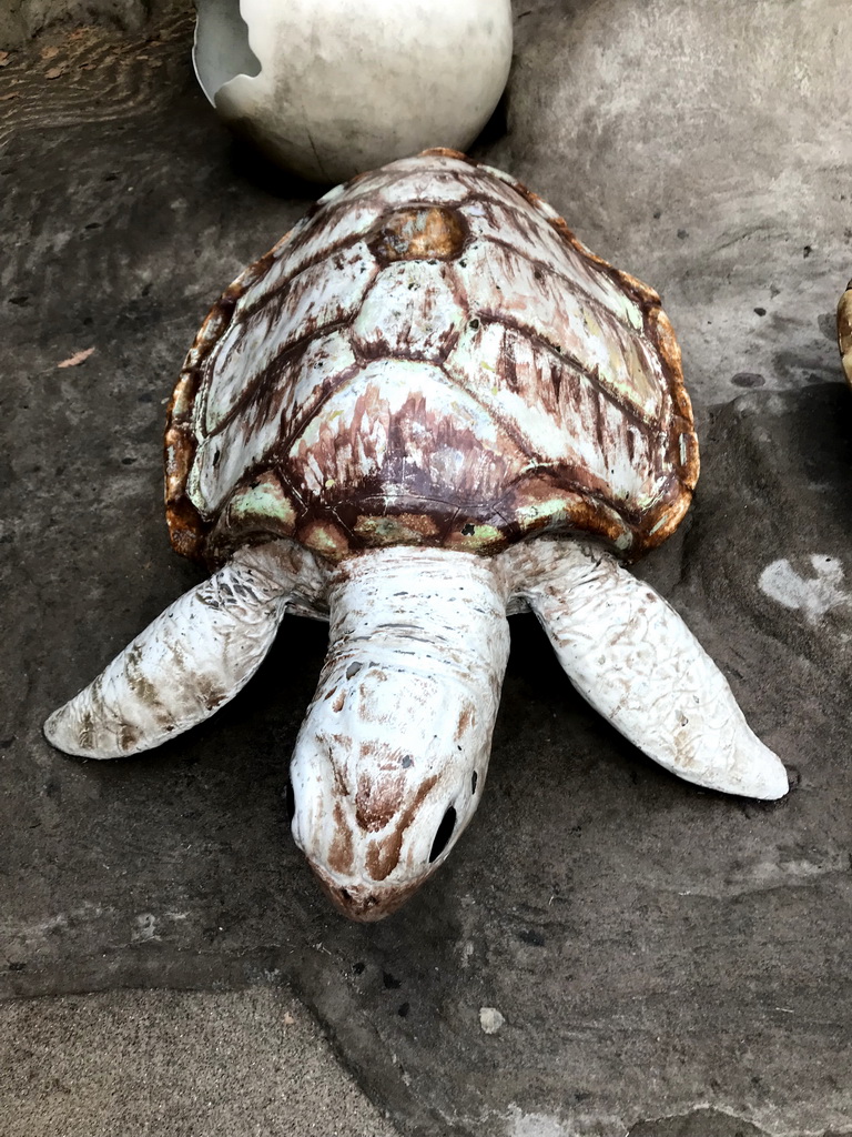 Turtle statue at the Oceanium at the Diergaarde Blijdorp zoo