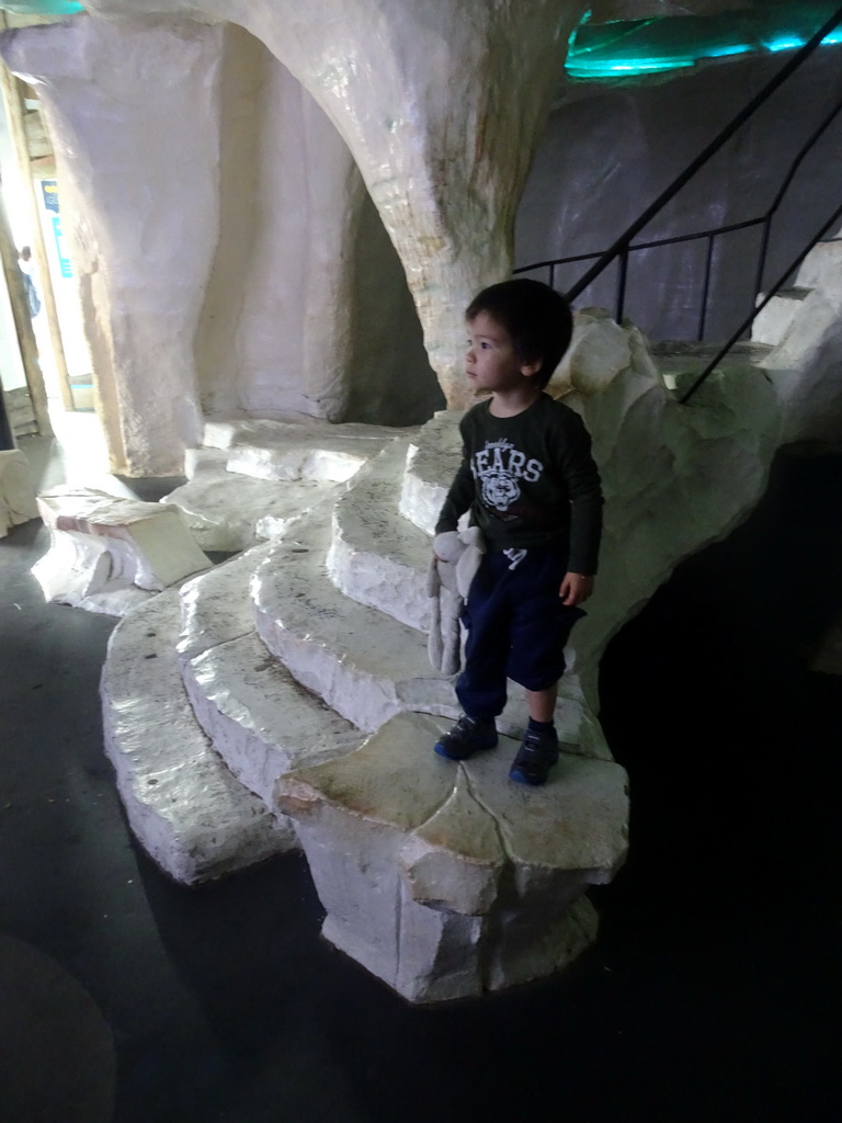 Max watching a movie on Polar Bears at the North America area at the Diergaarde Blijdorp zoo