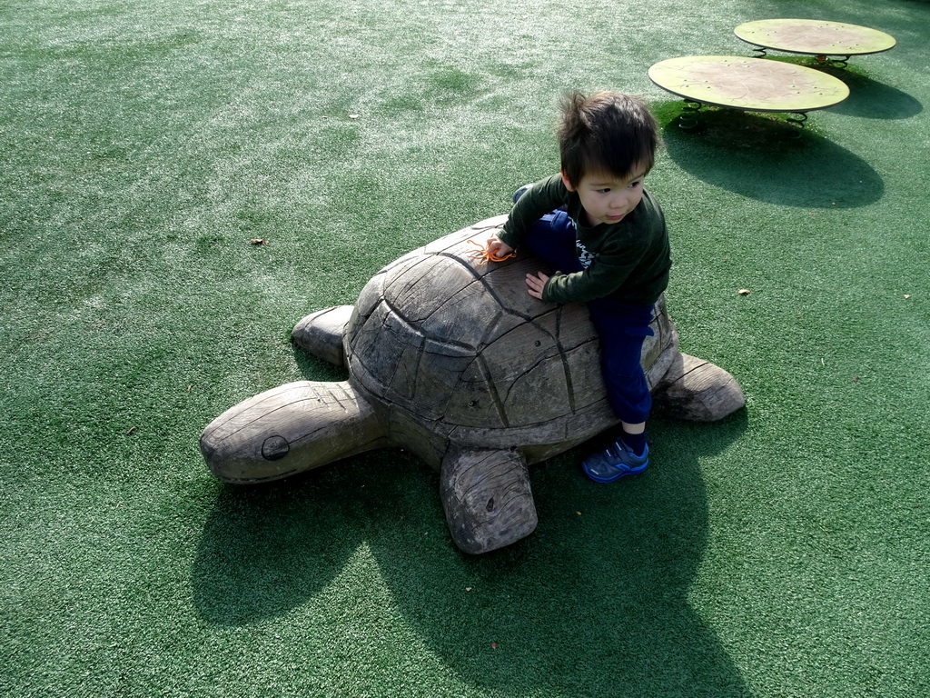 Max on a turtle statue at the playground in front of the theatre of the Vrije Vlucht Voorstelling at the South America area at the Diergaarde Blijdorp zoo
