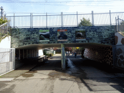 Tunnel to the Eastern part of the Diergaarde Blijdorp zoo